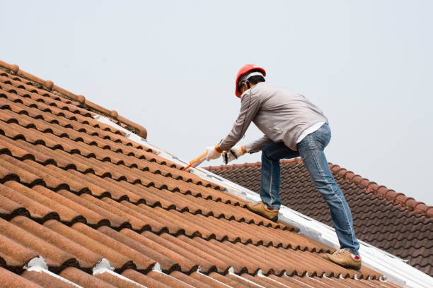 Best Green or Eco-Friendly Roofing Solutions  in Danbury, CT